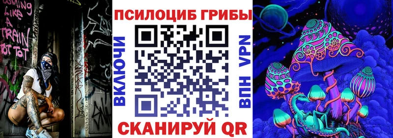 Псилоцибиновые грибы GOLDEN TEACHER  Купить где  Егорьевск 