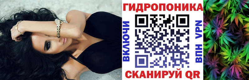 Шишки марихуана SATIVA & INDICA  Купить где  Егорьевск 